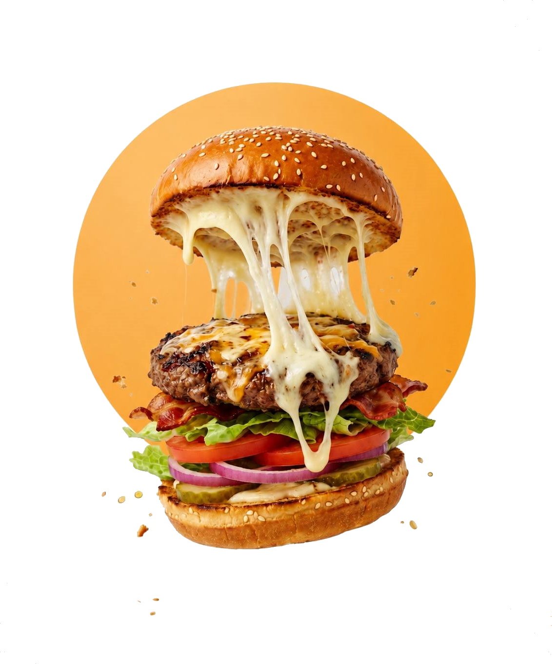 Mozzarella Burger Melyza